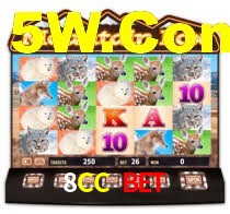 8CC Bet,8CC Login